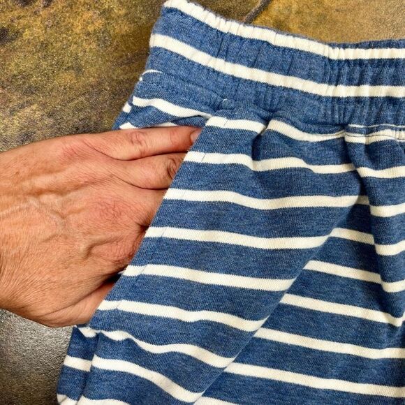 Banana Republic Blue White Striped Shorts Large - Picture 5 of 8